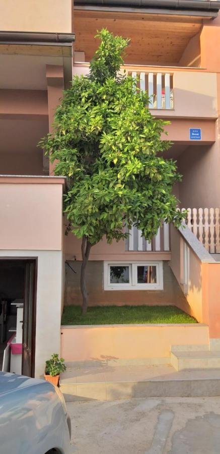 Damant Apartment
